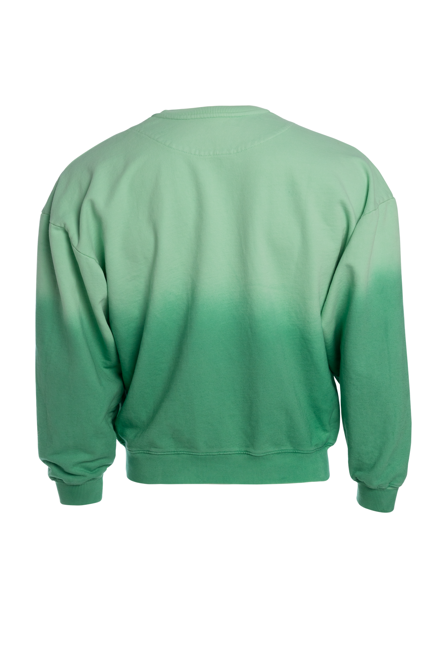 BUZO DEGRADE VERDE
