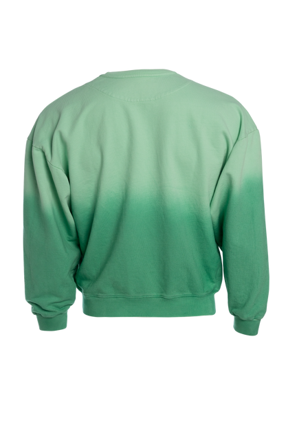 BUZO DEGRADE VERDE